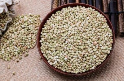 荞麦的产地在哪里?荞麦有哪些常见种类