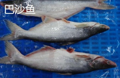 巴沙鱼和龙利鱼的区别