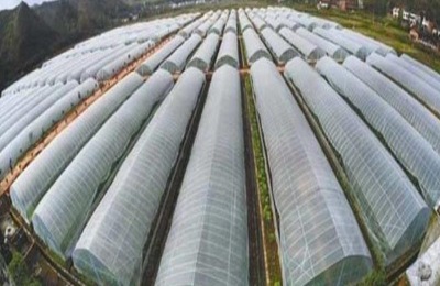 蔬菜大棚建设注意事项