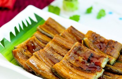 鳗鱼一斤多少钱？鳗鱼养殖利润及前景分析