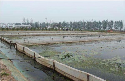水蛭养殖要求有哪些 水蛭养殖池的建造方法(图解)