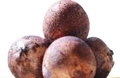 竹荪的产地在哪里?竹荪四大产地分布