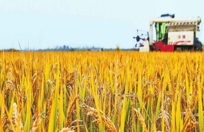 推荐农村创业十大赚钱项目