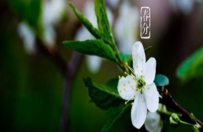 春分的由来是什么？有什么习俗
