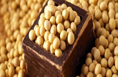 农村工厂加工项目有哪些？这些成本低，收益高