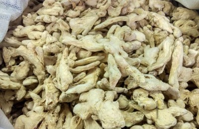 沙姜一斤多少钱？沙姜种植利润如何