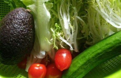 锡林浩特市有哪些特产