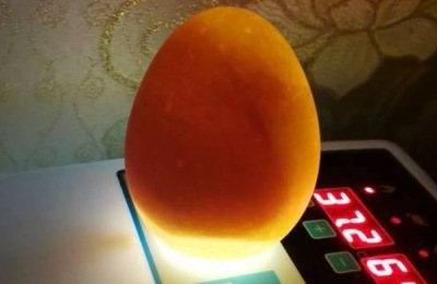 孵小鸭的温度和天数,孵小鸭的注意事项