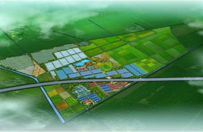 陕西安康有哪些特产