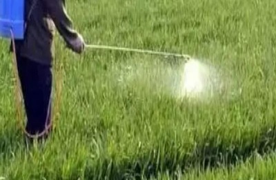 播种后可以打草甘膦吗