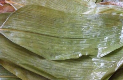 粽叶有哪些种类?分析粽叶的价格和商机
