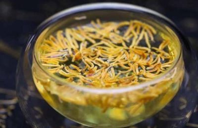 牡丹花怎么栽培?有哪些注意事项