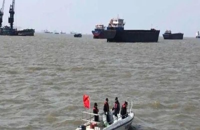 中国银针鱼的产地在哪里?如何购买银针鱼