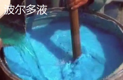 波尔多液和多菌灵哪个更好
