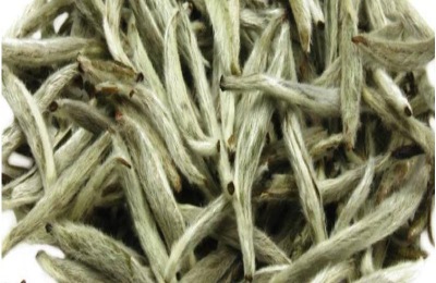 白毫银针产地在哪里