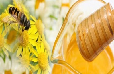 意蜂蜜一斤多少钱？意蜂蜜和土蜂蜜哪个好