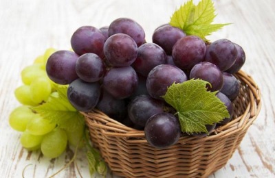 极早熟葡萄有哪些新品种