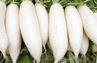 秋天有哪些作物?这些适合秋天种植