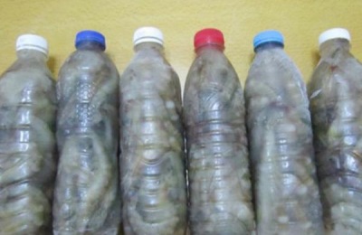 如何冷冻新鲜的虾