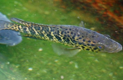 山东乳山市有哪些特产