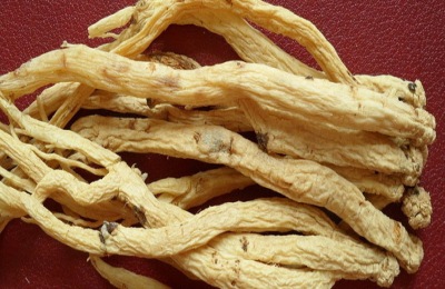 党参一斤多少钱?功效和功能是什么?(附党参栽培技术)