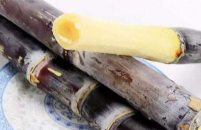 甘蔗一斤多少钱?甘蔗种植前景如何