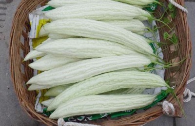 种植苦瓜要想高产,需要掌握哪些技术点