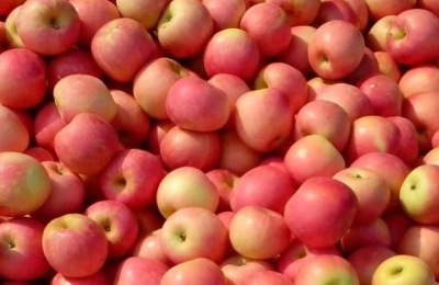 什么是新疆奎屯市特产