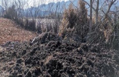 未成熟的农家肥可以直接给庄稼施肥吗?农家肥怎么发酵