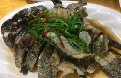 石斑鱼一斤多少钱？养殖前景如何
