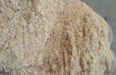 淡水虾有哪些常见品种?不同品种的价格是多少?淡水虾和虾的区别