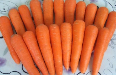 有哪些品种的蔬菜耐热耐高温