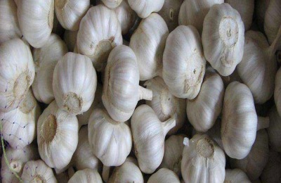 山东有哪些土特产