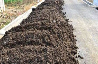 甘蓝喜肥耐肥，种植甘蓝每亩多少农家肥合适