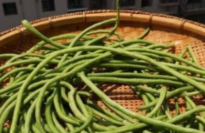 卜豆角是怎么做出来的,卜豆角是哪里的特产