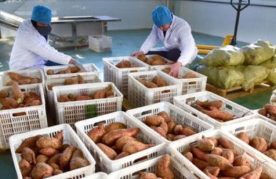 农村有什么生意好做？这些可能适合你