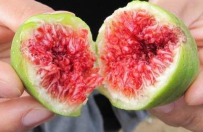 阿图什市有哪些特产