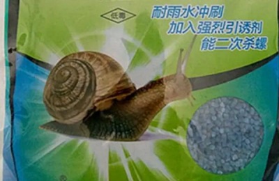杀蜗牛的特效药,蜗牛是软体动物吗