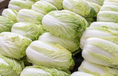 叶子菜都有哪些