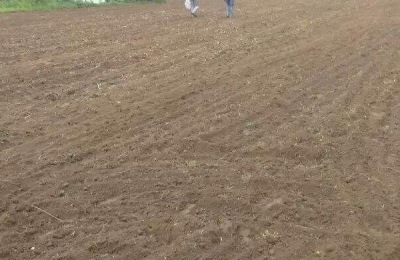 辽宁葫芦岛有哪些特产