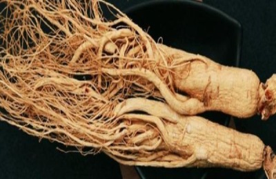 各个地方适合种的药材有哪些