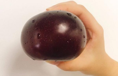 国外引进的优质李子品种有哪些