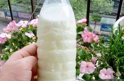 牛奶浇花好不好
