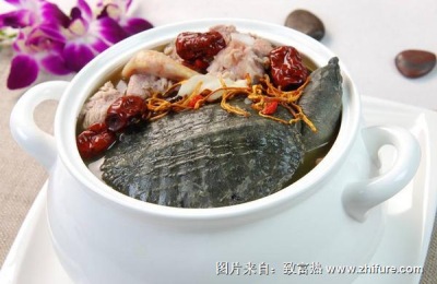 甲鱼在哪里最有名?甲鱼养殖赚钱吗