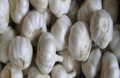 大蒜是荤菜还是素菜