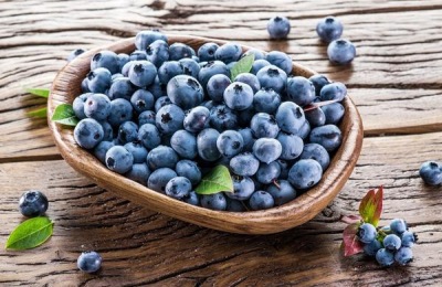 蓝靛果一斤多少钱？蓝莓和蓝莓有什么区别？(附种植前景和技术)