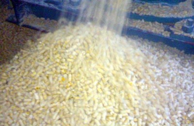 养殖肉鸭节约饲料的方法有哪些