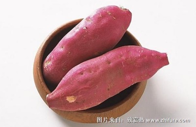 红薯一斤多少钱?红薯种植利润如何