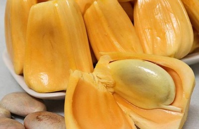 菠萝蜜采果后如何施肥？采果后需要施多少肥料