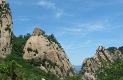 九纹龙锦鲤产地在哪里?有什么特点